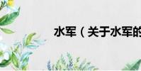 水军(关于水军的简介)