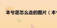 本兮是怎么走的图片(本兮是怎么走的)