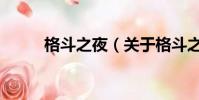 格斗之夜(关于格斗之夜的简介)