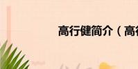 高行健简介(高行建)