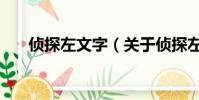 侦探左文字(关于侦探左文字的简介)