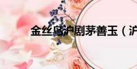 金丝鸟沪剧茅善玉(沪剧茅善玉)