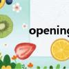 opening（关于opening的简介）