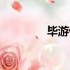 毕游侠退出炉石（毕游侠）