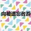 向被遗忘者游侠致意（向被遗忘者游侠致意）