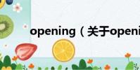 opening(关于opening的简介)