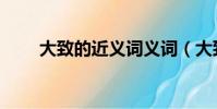 大致的近义词义词(大致的近义词)