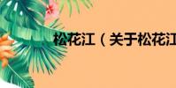 松花江(关于松花江的简介)
