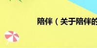 陪伴(关于陪伴的简介)