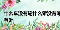什么车没有轮什么猪没有嘴猜六个字什么花没有叶
