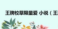 王牌校草限量爱 小说(王牌校草无限爱)