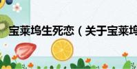 宝莱坞生死恋(关于宝莱坞生死恋的简介)