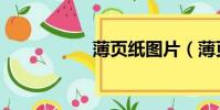 薄页纸图片(薄页纸)