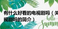 有什么好看的电视剧吗(关于有什么好看的电视剧吗的简介)