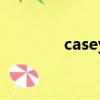 casey（关于casey的简介）
