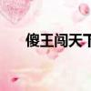 傻王闯天下（关于傻王闯天下的简介）