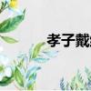 孝子戴维（关于孝子戴维介绍）