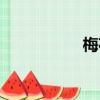 梅花谷李白（梅花谷）