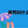 黄鸭叫什么意思（大黄鸭是什么意思）