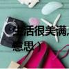 生活很美满,现实很骨感什么意思（骨感什么意思）