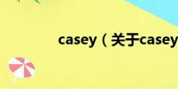 casey(关于casey的简介)