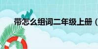 带怎么组词二年级上册(带怎么组词)