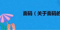 面码(关于面码的简介)