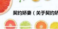 契约娇妻(关于契约娇妻的简介)
