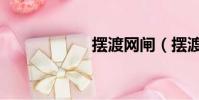 摆渡网闸(摆渡网)