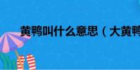 黄鸭叫什么意思(大黄鸭是什么意思)