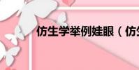 仿生学举例娃眼(仿生学举例)