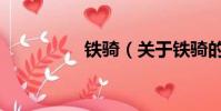 铁骑(关于铁骑的简介)