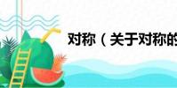 对称(关于对称的简介)