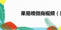 果易嗖微商视频(果易嗖)