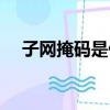 子网掩码是什么意思（子网掩码是什么）
