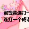 蜜饯黄连打一个成语跷跷板打一成语（蜜饯黄连打一个成语）