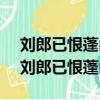 刘郎已恨蓬山远更隔蓬山几万重 网游小说（刘郎已恨蓬山远）