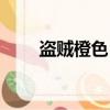 盗贼橙色匕首特效（盗贼橙色匕首）