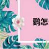 鹦怎么组词（则怎么组词）