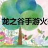 龙之谷手游火舞技能加点（龙之谷舞者加点）