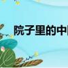 院子里的中国主要内容（院子里的中国）