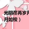 光阴荏苒岁月如梭转眼老了句子（光阴荏苒岁月如梭）