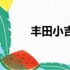 丰田小吉普叫什么（丰田小吉普）