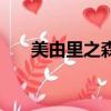 美由里之森（关于美由里之森的简介）