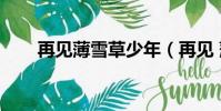 再见薄雪草少年(再见 薄雪草少年)