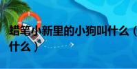 蜡笔小新里的小狗叫什么(蜡笔小新家的狗叫什么)