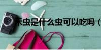 禾虫是什么虫可以吃吗(禾虫是什么)