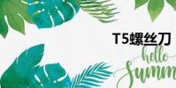 T5螺丝刀