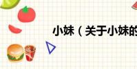 小妹(关于小妹的简介)
