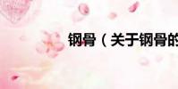 钢骨(关于钢骨的简介)